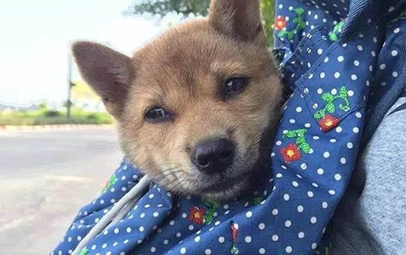 12星座综合实力排名，你是王者还是青铜