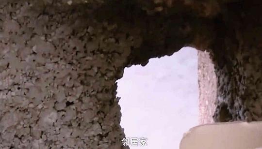 350万别墅成地鼠窝，屋内52个洞，户主愤怒：装修队惹的祸