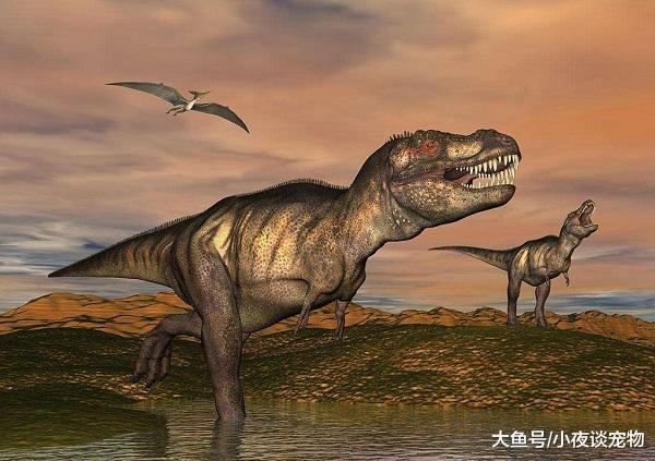 霸王龍是陸地上的霸主嗎？原來它也有天敵