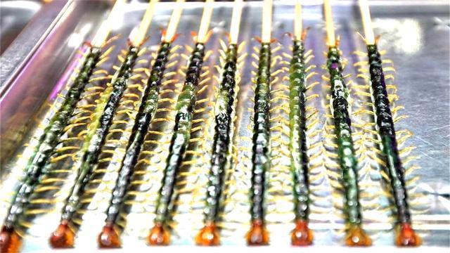 4亿年前它是地球上的“王者”，想吃谁吃谁，如今一脚就能踩死？