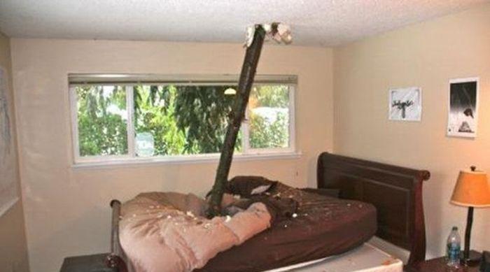 一组照片告诉你什么叫“福大命大”