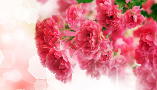 生肖▲相处时间久了，就不会百依百顺的3个星座男