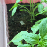 空话多的地方智慧少