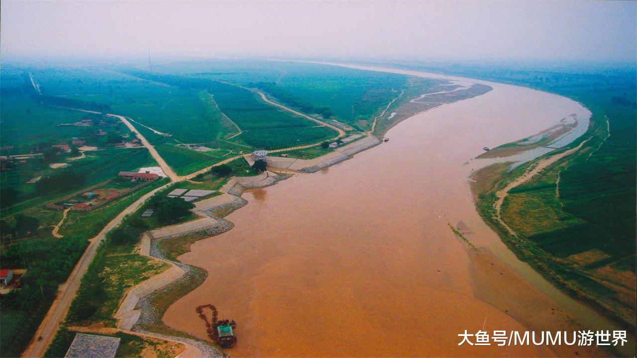 淡水鱼在海水中不能存活,那黄河流入大海后,河中的鱼去了哪里?