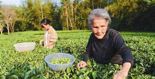 #长寿#十种长寿食物, 你一定要知道