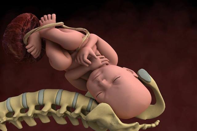 怀孕后，如果孕妈身上出现这4个特征，说明胎宝宝正健康发育呢