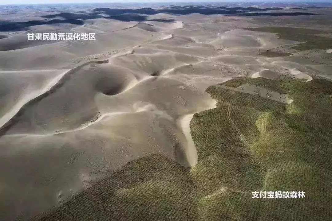 3岁了，马云的“天价”蚂蚁森林怎样了？看到卫星图：泪流满面