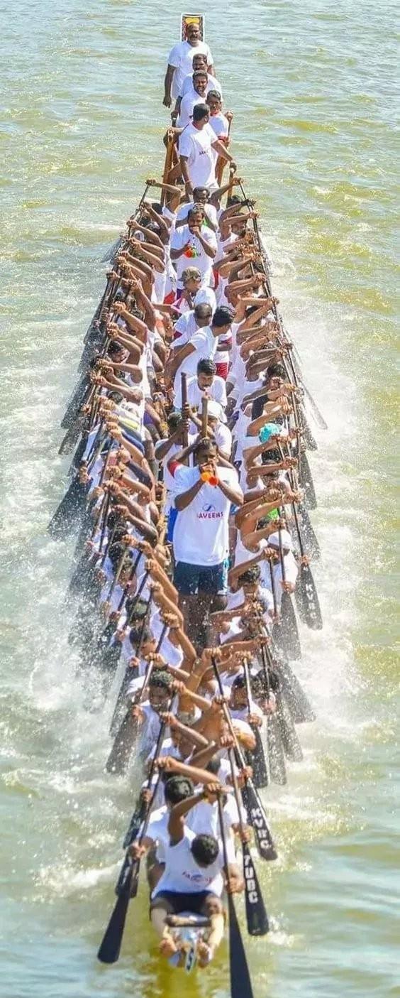 发几张不正经的照片给你看看, 专治不开心~