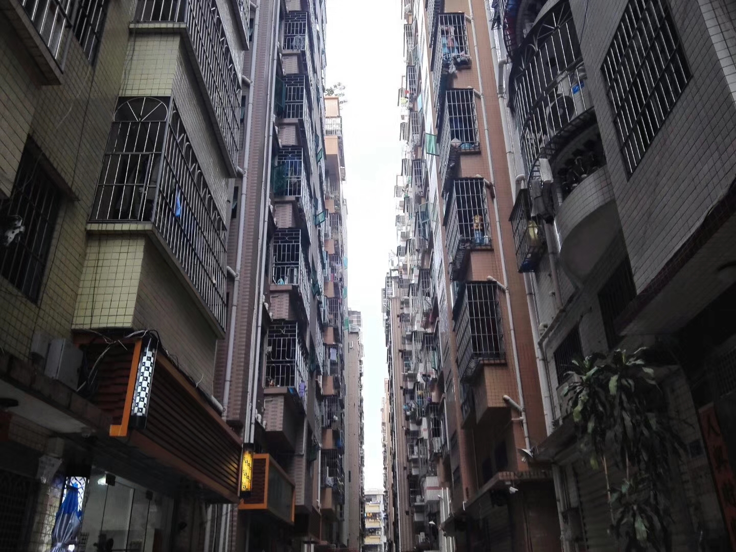 深圳“失控”的高房租，疯涨的让租房者们感到绝望！