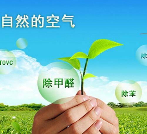 这些除醛骗局专家澄清了很多遍！竟然还有人被骗！你呢？