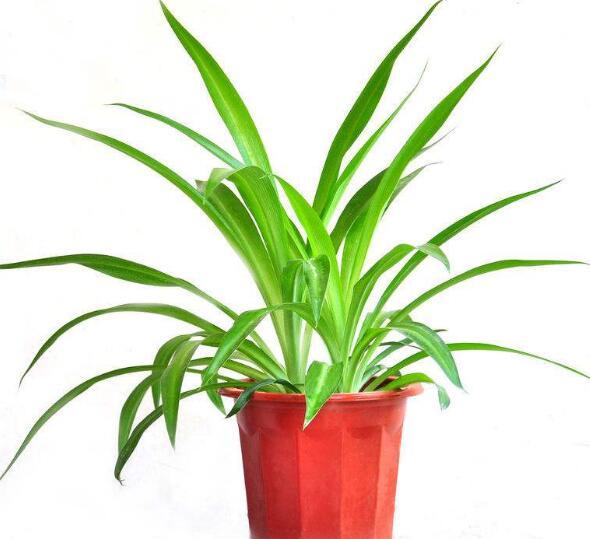 通风半年，甲醛为何还超标？原来是这些错误认知，希望能让更多人看到