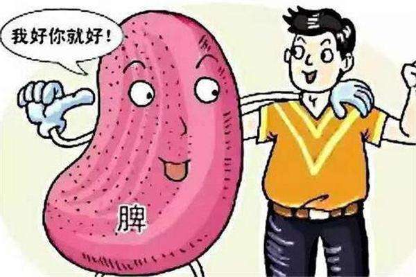 脾虚，湿热怎么办？