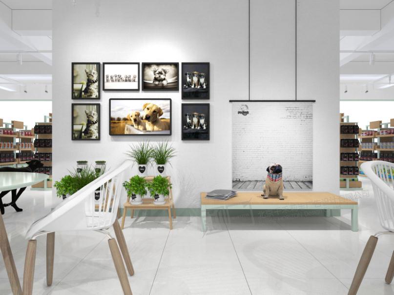 开宠物店需要哪些条件