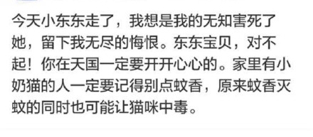 辟谣：夏天给猫用艾叶洗澡清凉除虫，不但不能，还会就让猫咪痛苦