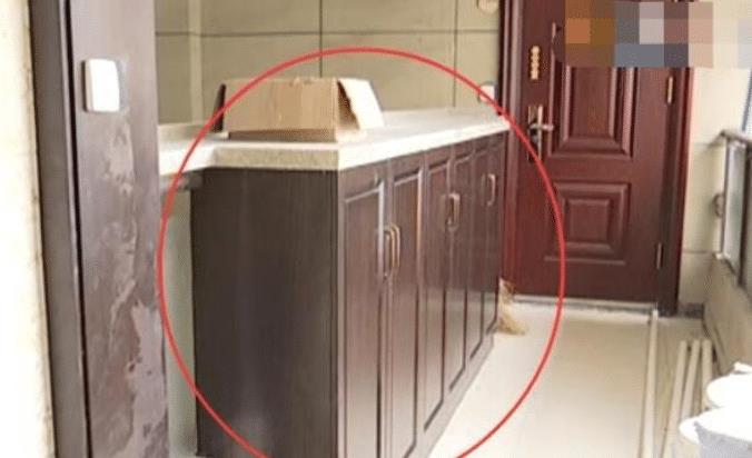 邻居走廊安装4米鞋柜，女子怒曝光，物业：你投诉她，我全力支持