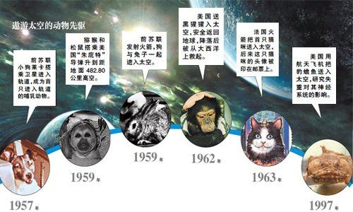 「太空」50年前被送上太空的狗和猴子，如今怎么样了？说了你可能不相信