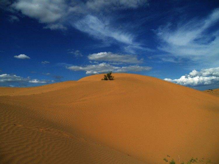 为何不用沙漠里的沙子来盖房子？中国专家道出3个原因