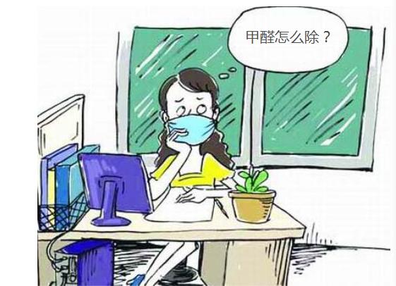 甲醛可诱发癌症，环保博士支招“药到病除”