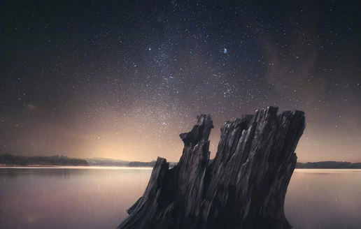 天生“贱骨”的四大星座，你越冷漠，他越爱你