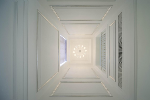 绿植除甲醛都是骗人的，想要快速住新家，这几个甲醛克星不能少！