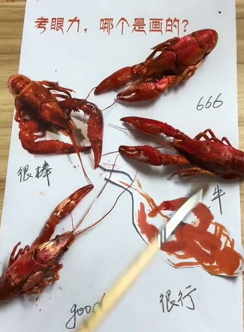 美术生又“作妖”，画龙虾以假乱真，你以为能分辨？最后：真瞎了