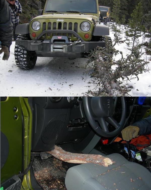 一组照片告诉你什么叫“福大命大”