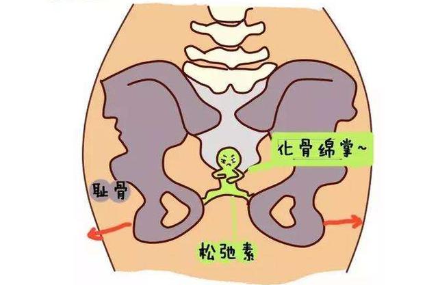 怀孕后，如果孕妈身上出现这4个特征，说明胎宝宝正健康发育呢