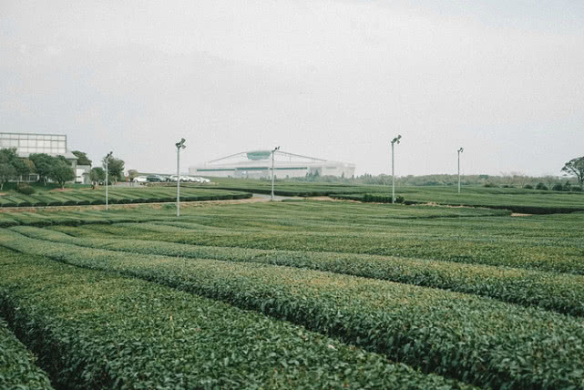 江苏“零差评”的城市，工资高、房价物价低，外地人来买房又买车？