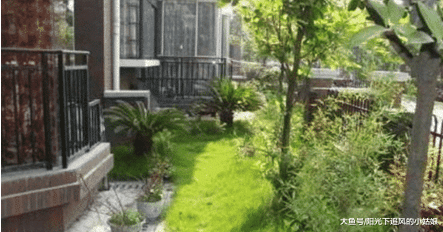 为何有钱人从不买带“院子”的房子？听内行人说完，庆幸知道及时