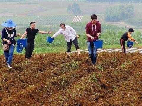 疯狂|农村土地疯狂“退租潮”的背后，将有多少专家“脸肿了”