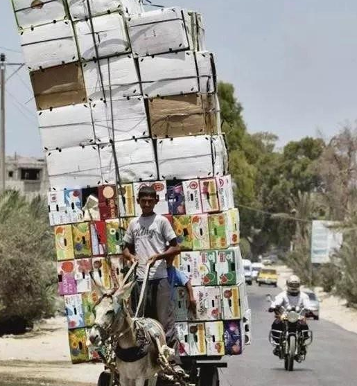 发几张不正经的照片给你看看, 专治不开心~