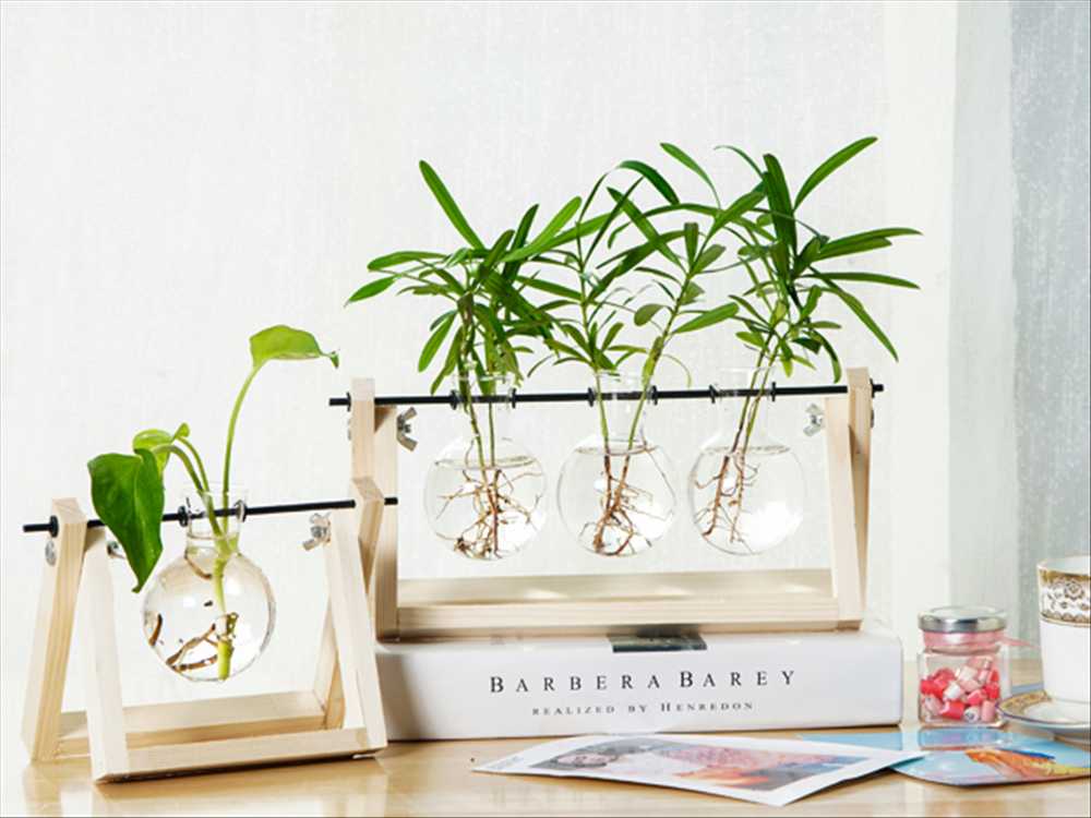 ?不要盲目跟风，除甲醛三个方法就够了！