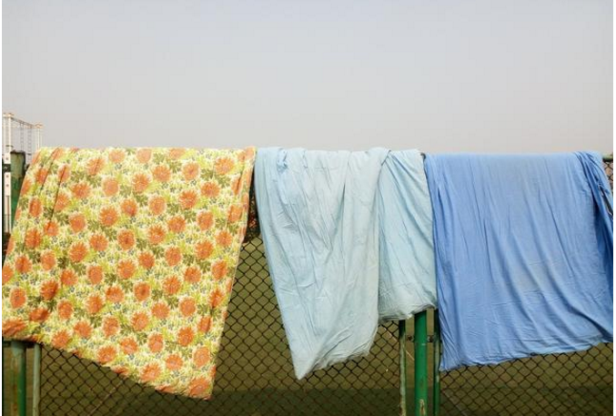 家里螨虫超级多？只需一根草，不到1毛钱，螨虫全部死光光