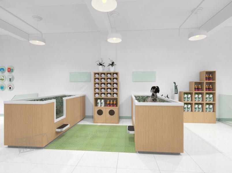 开宠物店需要哪些条件