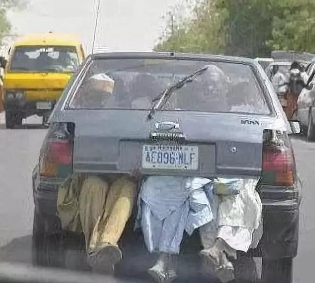 发几张不正经的照片给你看看, 专治不开心~