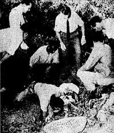 轰动香港的三狼案