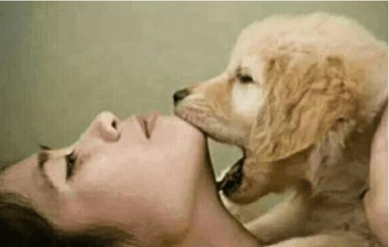 女孩醉酒抱着狗不撒手, 一觉醒来床单有血！她当时就蒙了