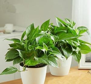 越来越多儿童患上“白血病”，专家坦言：这3样东西不能留家中！