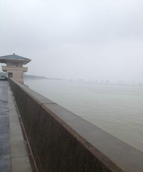 不敢吃！钱塘江出钓起“未知生物”，体型像树叶，入侵物种？