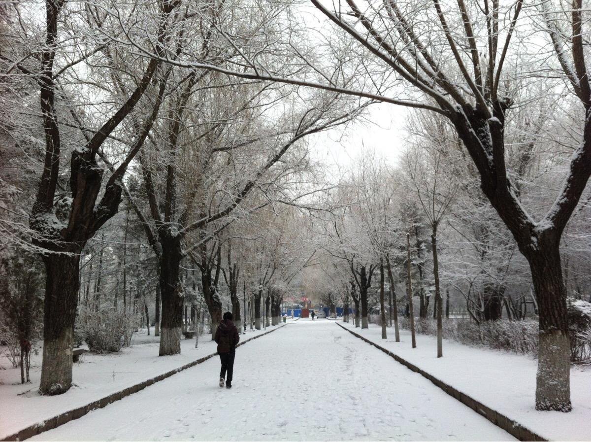 国庆之后，“最北”大学已进入冬季，零下50度冻到哭