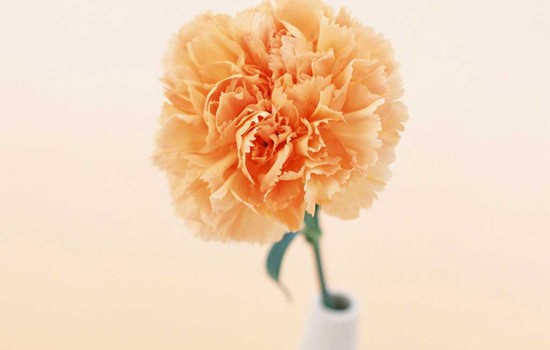 【运势】经常丢钱丢东西的5大生肖!3天后有横财,别大意了!