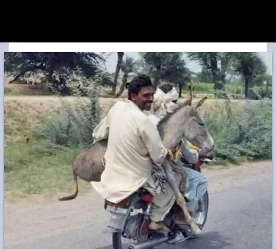 发几张不正经的照片给你看看, 专治不开心~