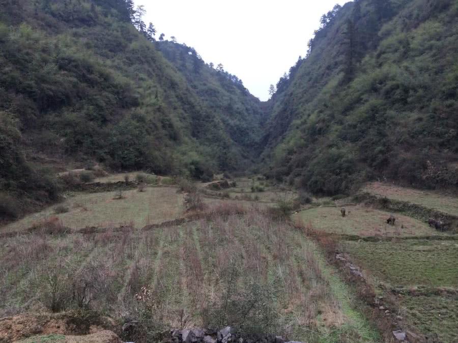 如今农村的3大“怪”现象，大家注意到了吗？