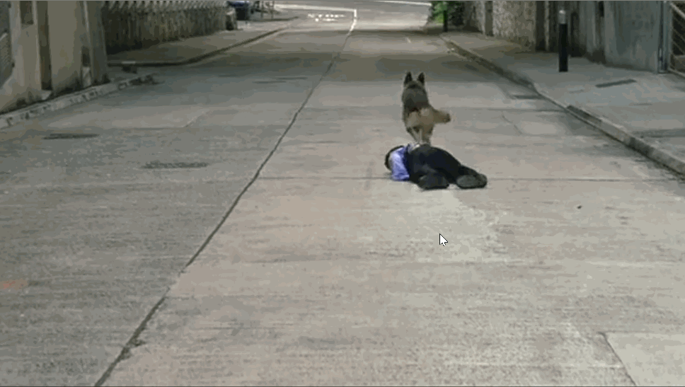 “高仿真人”价格不菲，不是特定场合导演根本不舍得用！