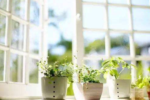 这3样东西是“甲醛大户”, 怪不得儿子总感冒咳嗽，快自查，有的赶紧扔