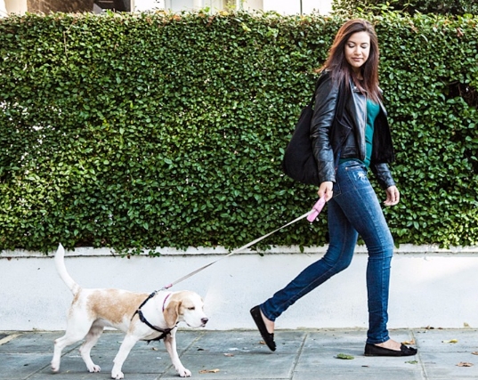 女主与男友通视频睡着，这时德牧突然出现，男友隔着屏幕不断驱赶