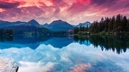 【运势】4月25日开始，喜鹊叫不停，桃花旺盛，横财大发，添丁添财3生肖