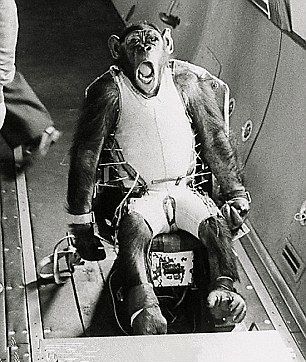 「太空」50年前被送上太空的狗和猴子，如今怎么样了？说了你可能不相信