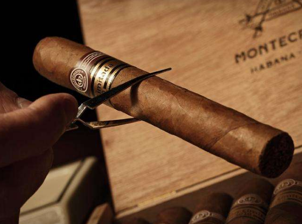 排名前5的烟草专业高校，考取烟草不发愁