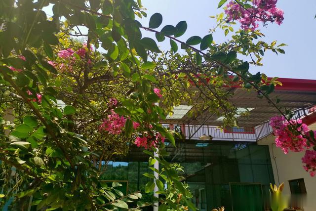 退休夫妻回农村过浪漫生活，40万元改造土窑洞变豪宅，看啥样